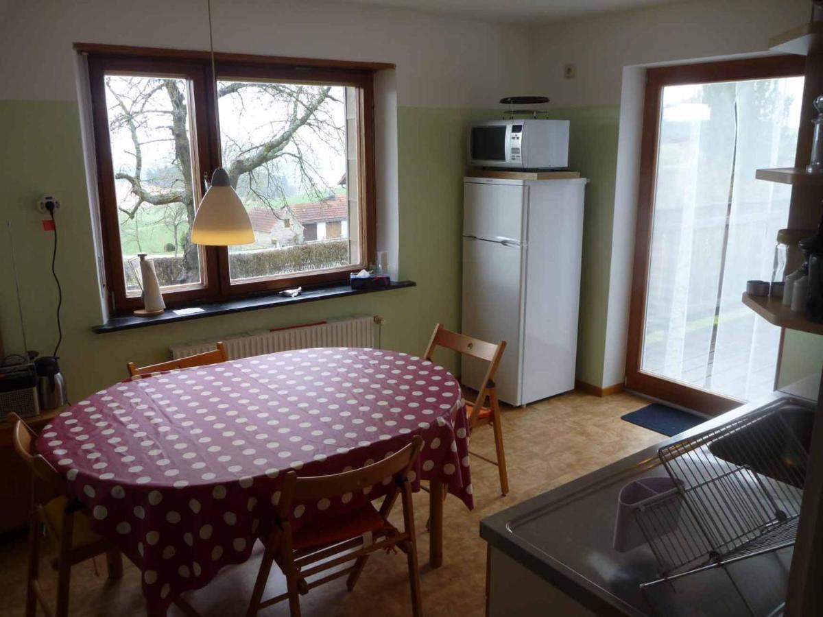 Apartamento Haus Hollerbusch Neunburg vorm Wald Exterior foto