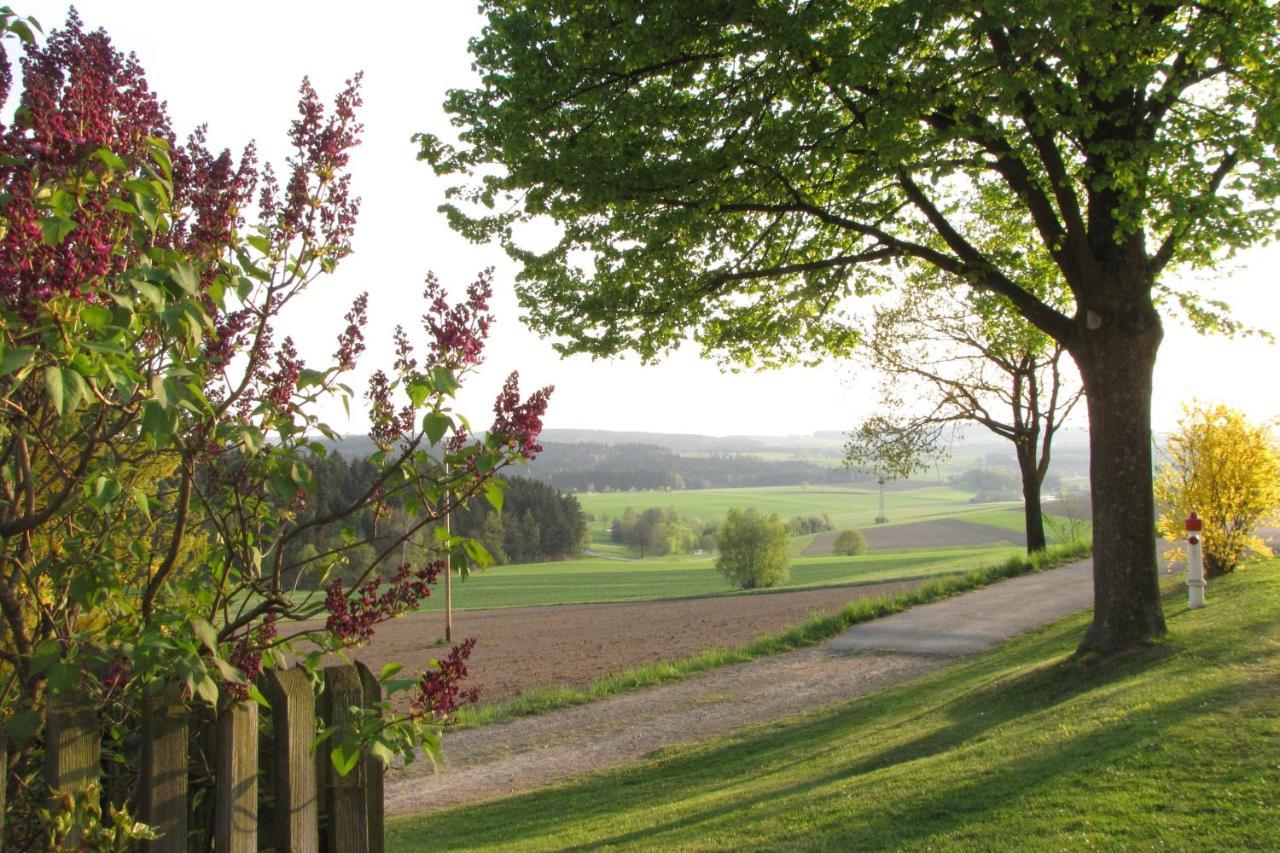 Apartamento Haus Hollerbusch Neunburg vorm Wald Exterior foto